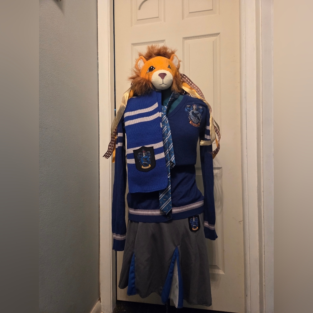 Adult Harry Potter Ravenclaw Set, Size Medium